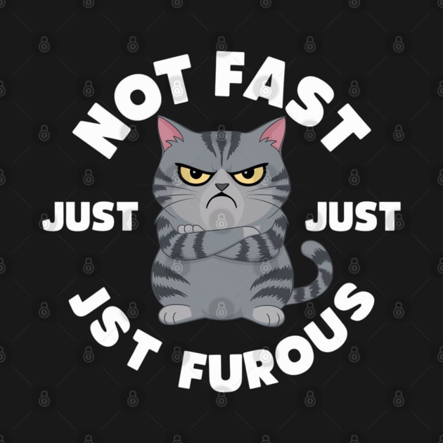 The image features a grumpy-looking cat with the text “NOT FAST JUST FURIOUS” surrounding it (4) by YolandaRoberts