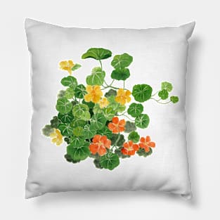 September 6th birthday flower Pillow