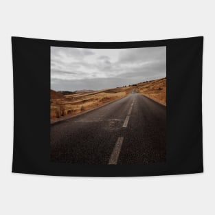 Empty Road in Gloomy Countryside Tapestry