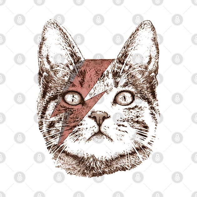 Bowie Cat's by FiftyZero world