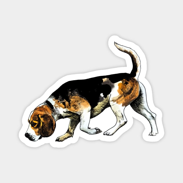 beagle Magnet by VicaVeresk