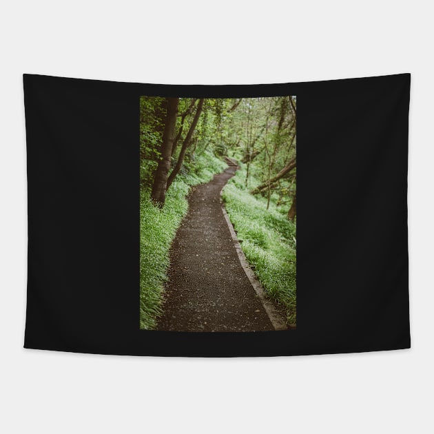 Dirt Path Tapestry by Errne