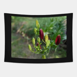 Multicolored Flower Buds 1 Tapestry