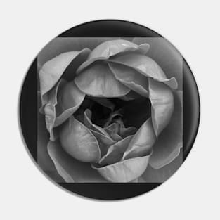 Red Rose in Black and White Pin