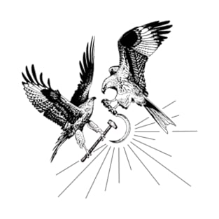 Red Kites (black on light) T-Shirt