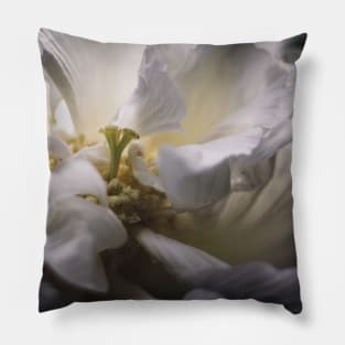 cotton rosemallow flower Pillow
