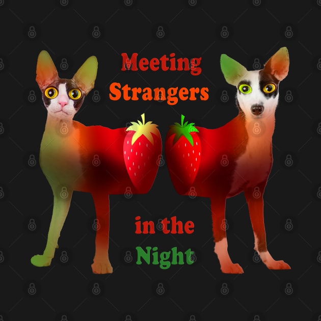 Strangers in the Night. Funny Cat and Dog with Strawberries :) by LinoLuno