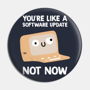 Software Update Pin