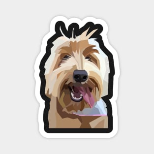 Australian Labradoodle Cute Magnet