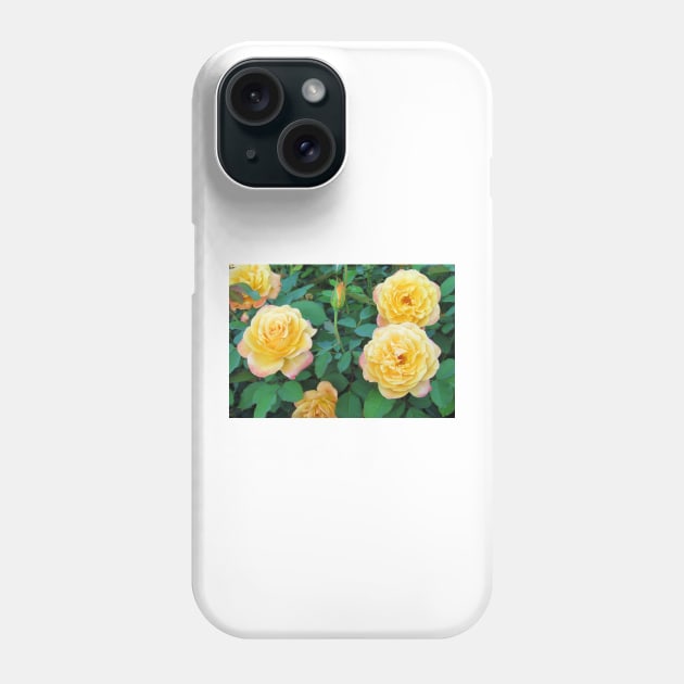 Yellow With Pink Tip Roses Phone Case by Cynthia48