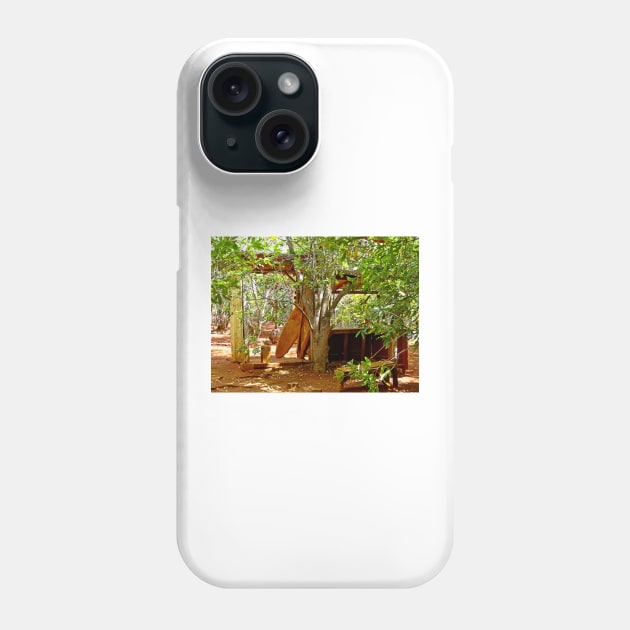 Molokai Study 6 Phone Case by bobmeyers