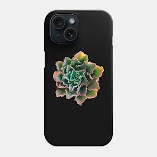 Suculenta Echeveria Dorothy Phone Case