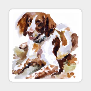 Brittany Watercolor Painting - Dog Lover Gifts Magnet