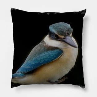 Sacred kingfisher Pillow