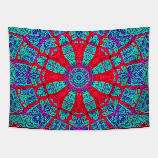 Multi coloured kaleidoscope mandala Tapestry by stevepaint