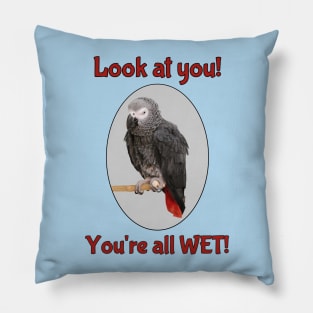 African Grey Parrot on Perch Pillow
