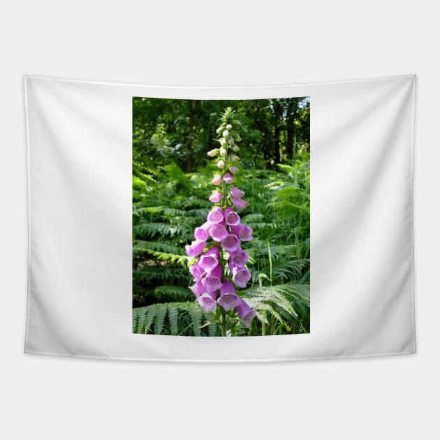 Pink Foxglove Tapestry by pinkal