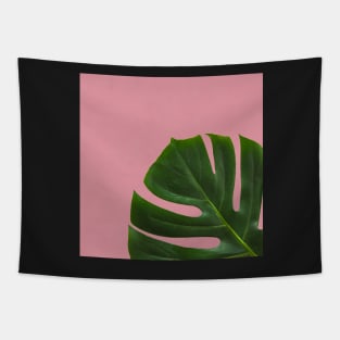 Monstera Leaf on Pink Background- Tropical Plant Vibe Tapestry