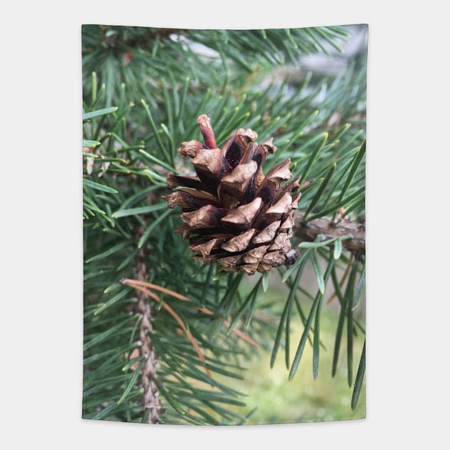 Pine Cone Tapestry by Amanda1775