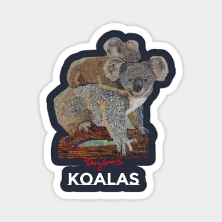 Koalas Magnet