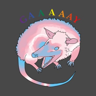 Trans Pride Possum T-Shirt