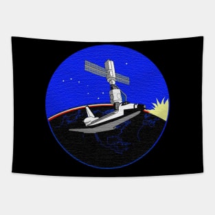 Black Panther Art - NASA Space Badge 51 Tapestry