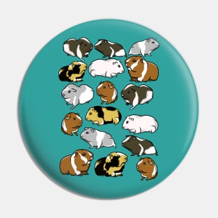 Guinea pig pattern Pin