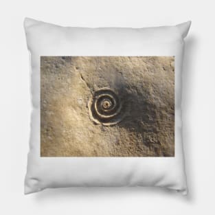 Fossil of a Spiral Shell in Stone Pillow