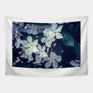 White Nerium oleander flowers Tapestry