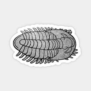 Trilobite Magnet