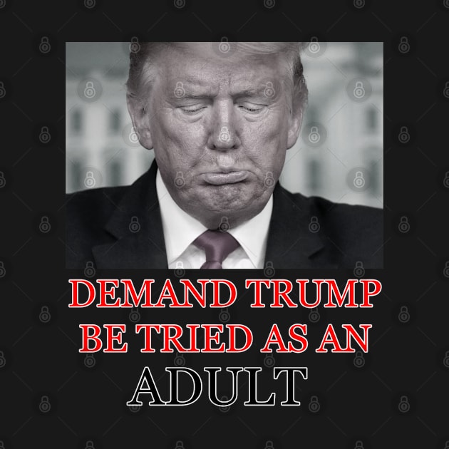 Demand Trump Be Tried As An Adult by colormecolorado