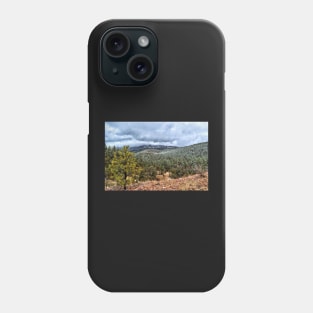 Snow In The Mountains Phone Case