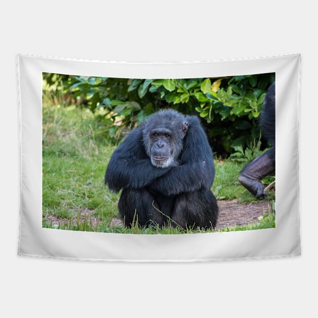 Chimpanzee Tapestry by Russell102