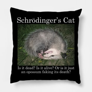 Schrodinger's Cat / Opossum Pillow