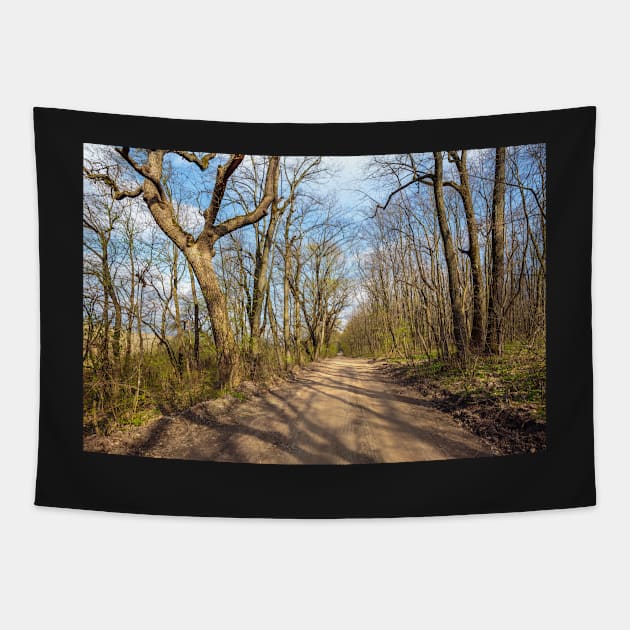 Hiking trail in the forest Tapestry by naturalis