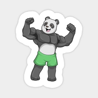 Panda as Bodybuilder at Bodybuilding Magnet