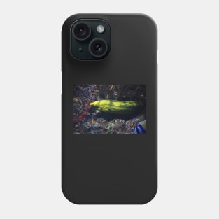 Yellow Moray eel Phone Case