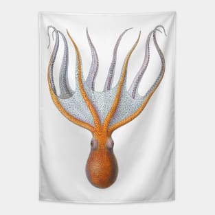 Orange Octopus Tapestry