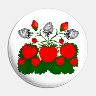 colorful fruit vintage strawberries Pin