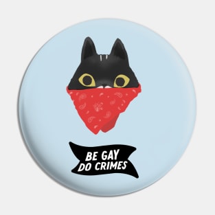 Be gay Do Crimes - Cat bandit version Pin