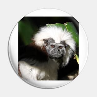 Cotton-top Tamarin Pin