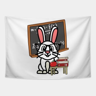 Funny Rabbit is teaching Tapestry
