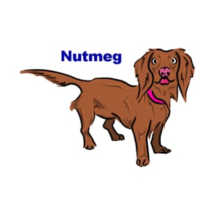 Nutmeg 2.0 T-Shirt