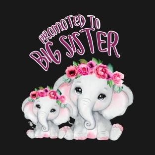 Promoted to Big Sister 2022 T-Shirt