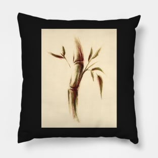 Autumn - Sumie Zen Bamboo Painting Pillow