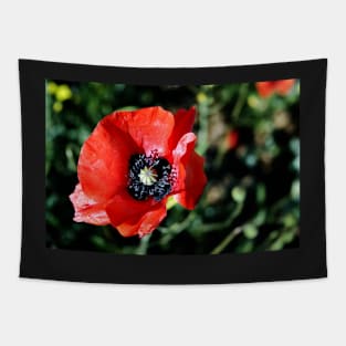 Red Poppy Flower Tapestry