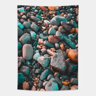 Pebble at the Beach, New-Brunswick, Canada V1 Tapestry