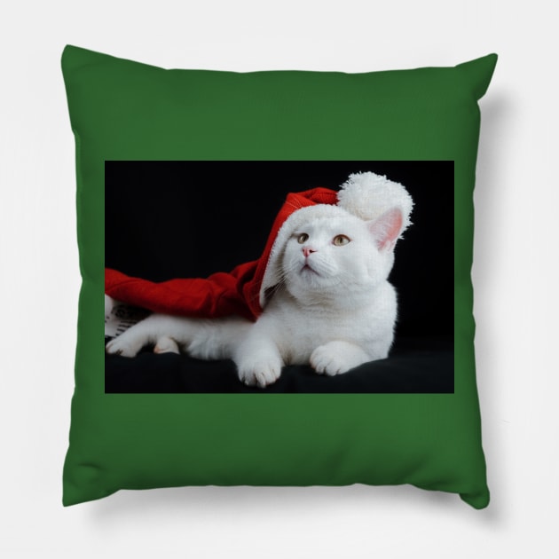 Christmas Cat Pillow by Pop Cult Store