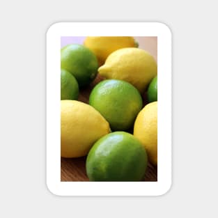 Lemons and Limes Magnet
