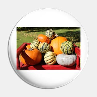 Pumpkins Pin